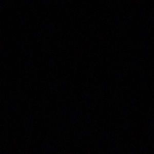 Meet your Posher, Nina